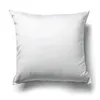 pillow3003