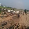 user1816666152018