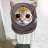 cmell_17