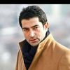 hani.sajed