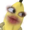 zipysha_