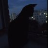 unknown_uqq