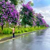 nhung.nhung80