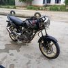 mp_berkah_singkong