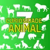CuriosidadeAnimal