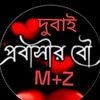 user205261337609