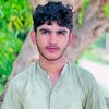 bhuttabrand955