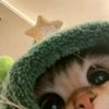 dirzstecuu