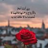 user7229183843926