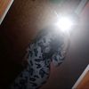 maite3731