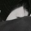 samuelsoliz338
