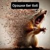 catbarbuz14883169