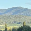 basiwasi1