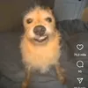 manuelcozz
