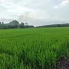 anh.nguyn9025