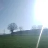 misiedimooj