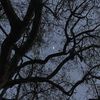 moon_light0125