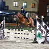_aleksandra_show_jumping