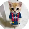 p_puyol
