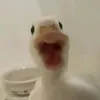 1lyymelx
