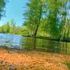 user5906558247027