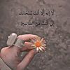 dooamohamad29