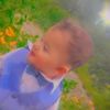 user8602282181538