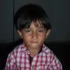 d_lanveg___