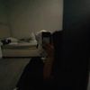 celena.leofo