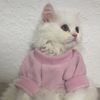 قطه كيوت Mimi 😺