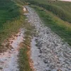 username139488