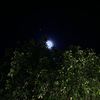 moonlightttt111