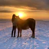 your.fav.horsegir
