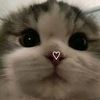 user779300355008