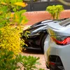 gwenn.auto