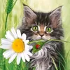 tiktom.comt