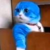 pipp_menn