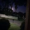 charcharlilove1023853