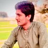 arshadlashari8628