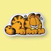 soygarfield4