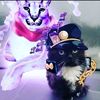 general_jadtiger583