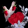 md.alomgir.kabir67