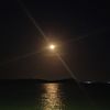 davidb_k