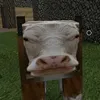 abcdhgfi
