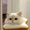 sugarmelo6