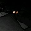 el_wero606