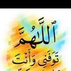 user6632380808778