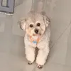 kamxiuxiu