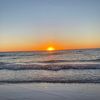 blayze_d8511