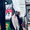 nurainiarsyad1